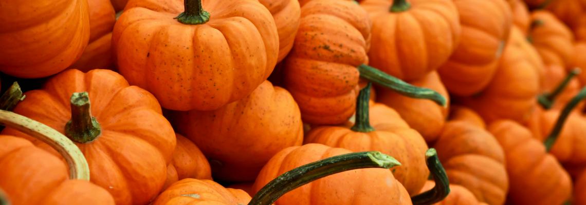 pumpkins background image